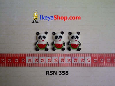 rsn 358  large2